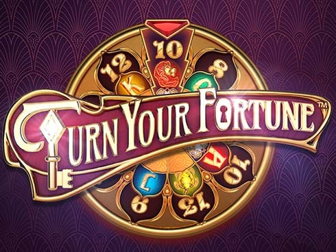 Turn Your Fortune screenshot
